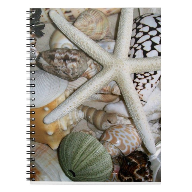 No Spiral Notebook (Front)