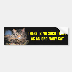 No Such Thing as an Ordinary Cat Bumper Sticker
