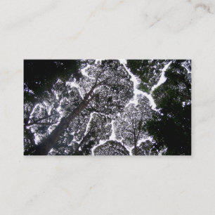 no touch trees landscaping business card