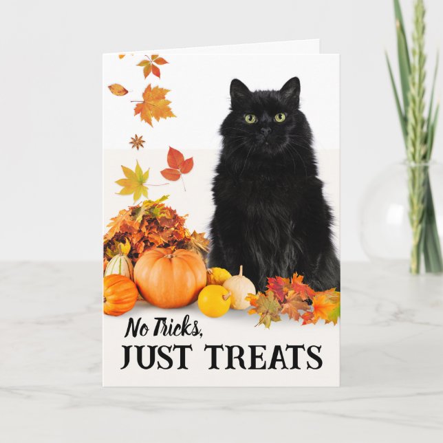 No Tricks Just Treats Halloween Black Cat Card (Front)