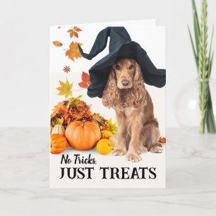 No Tricks Just Treats Halloween Cocker Spaniel Card