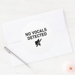 No Vocals Detected Minimal Audio Design Classic Round Sticker