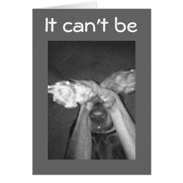 NO WAY-IMPOSSIBLE-***30th*** SAYS AMAZED DOG (Front)