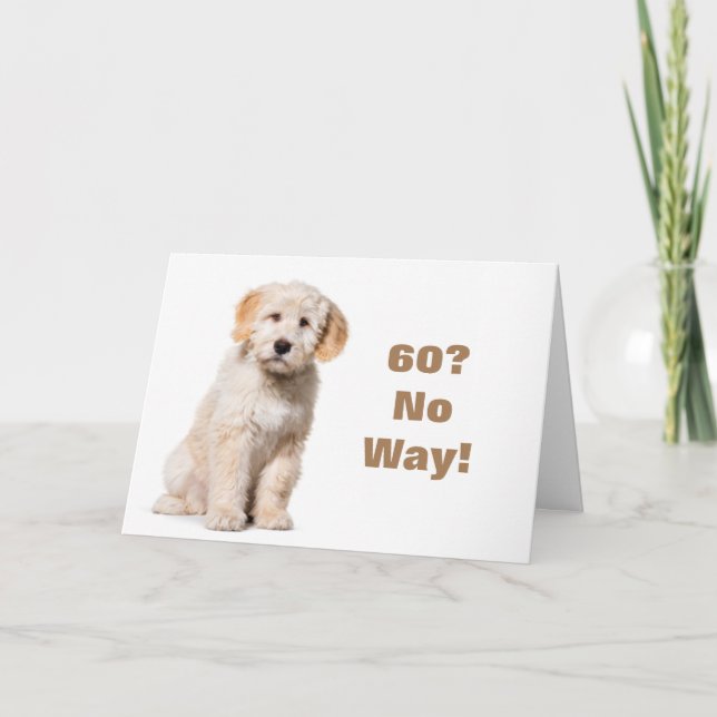 NO WAY YOU CANNOT BE **60** CARD (Front)