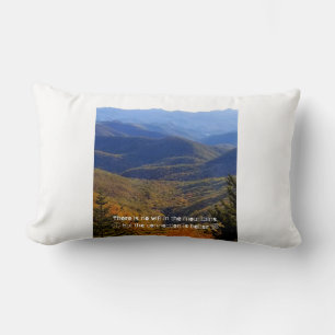 No WIFI Lumbar Pillow