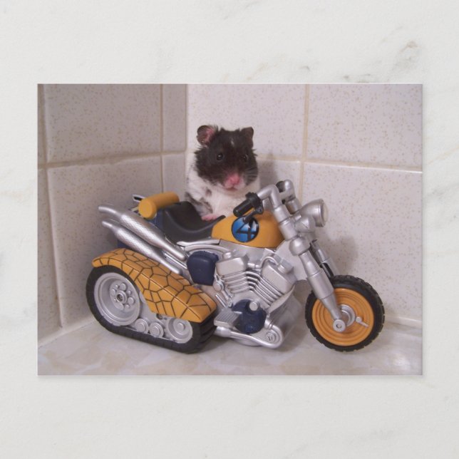 noah cycle postcard (Front)