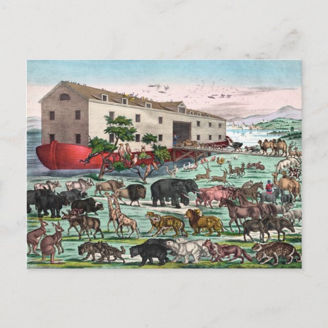 Noah's Ark postcard (Front)
