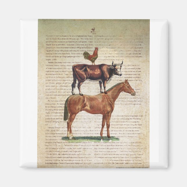 NOB12 Farm Stand C1.tif Magnet (Front)