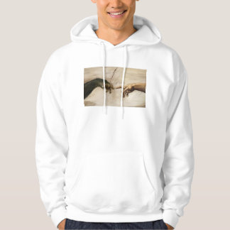 Noble Beasts - Creation of Apekind Hoodie