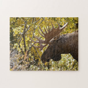 Noble Bull Moose Jigsaw Puzzle