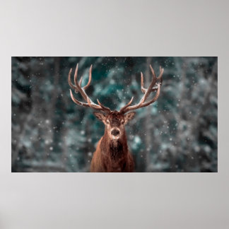 Noble deer male in winter snow forest. Artistic wi Poster