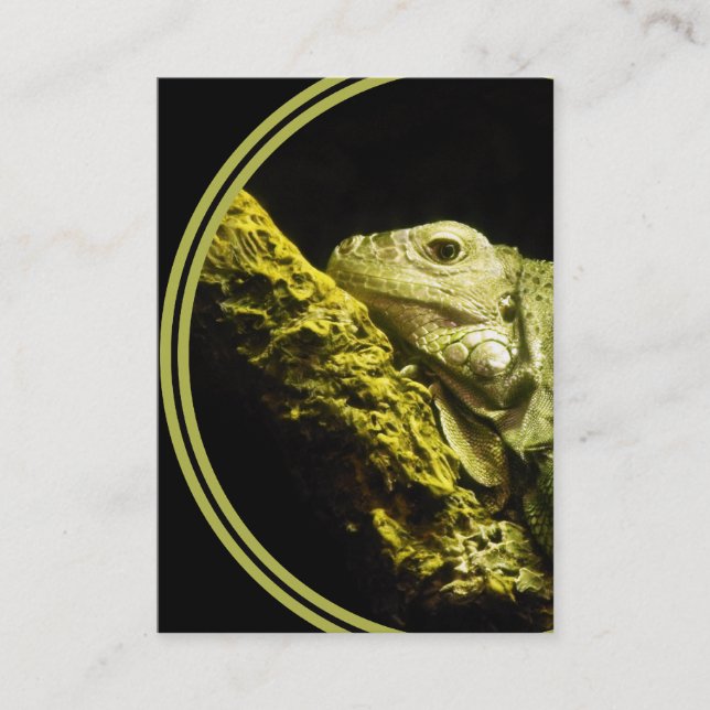 Noble Iguana Business Card (Front)