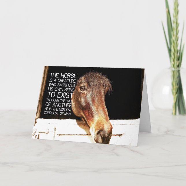 NOBLE STALLION Greeting Card (Front)