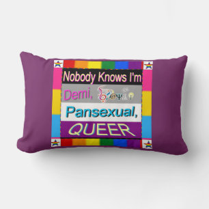 Nobody Knows I'm Demi Sapio Pansexual QUEER Lumbar Cushion