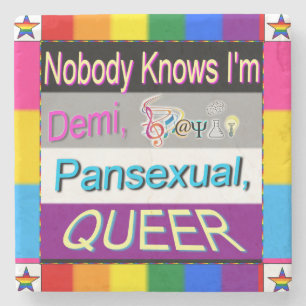 Nobody Knows I'm Demi Sapio Pansexual QUEER Stone Coaster
