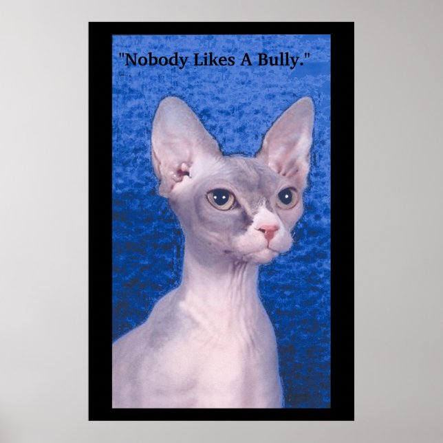 "Nobody Likes A Bully." Poster (Front)