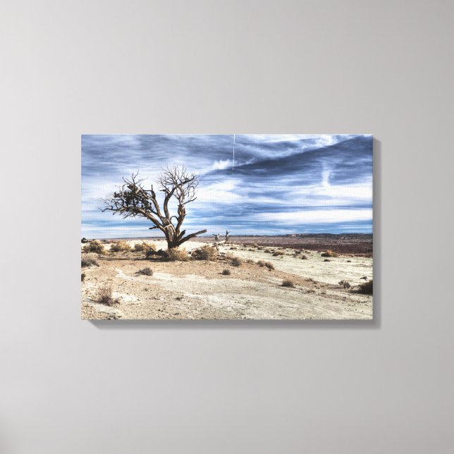 Nobody wanted land canvas print (Front)