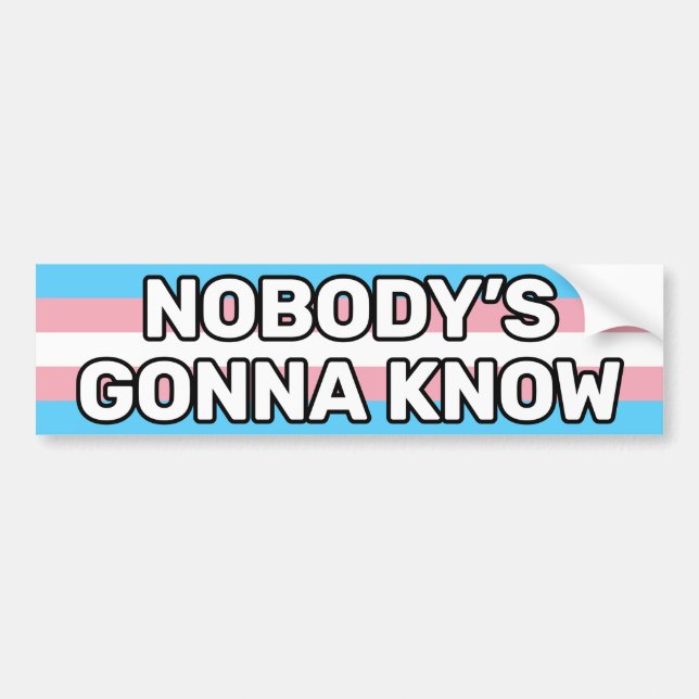 Nobody's Gonna Know White Trans Pride Flag Funny Bumper Sticker (Front)