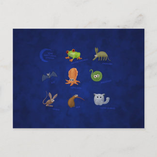 Nocturnal Animals Postcard