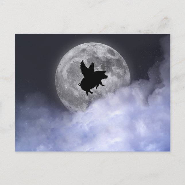 Nocturnal Flying Pigs Postcard (Front)