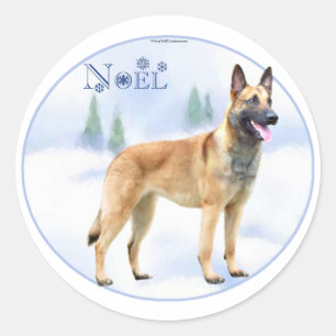 Noel Belgian Malinois Classic Round Sticker