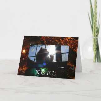Noel-Sunburst Cat Holiday Card