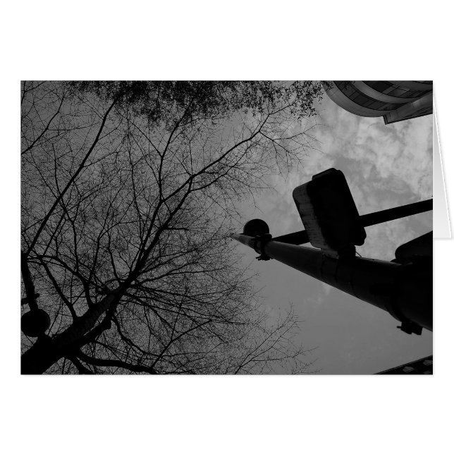 Noir City (Front Horizontal)