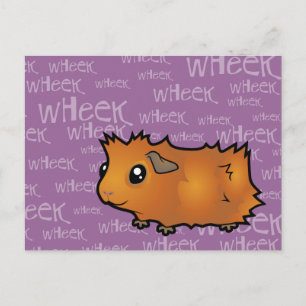 Noisy Guinea Pig (scruffy) Postcard