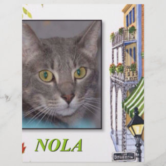 NOLA
