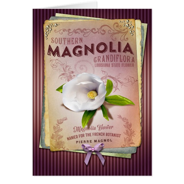 NOLA Collection Louisiana Magnolia Flower Art (Front)
