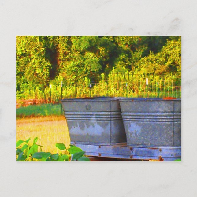 Nola's Tubs Postcard (Front)