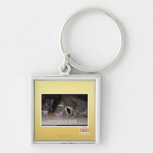 nom force field key ring