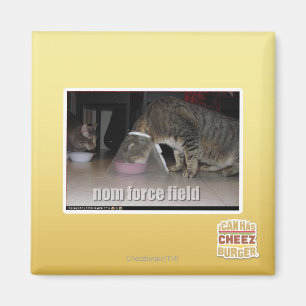 nom force field magnet
