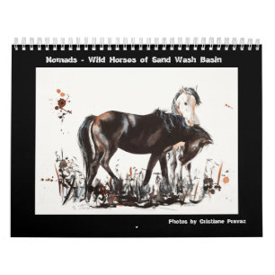 Nomads -Sand Wash Basin Wild Horses Calendar