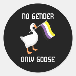 Nonbinary Goose No Gender Pride Flag Lgbtq Gay Pri Classic Round Sticker