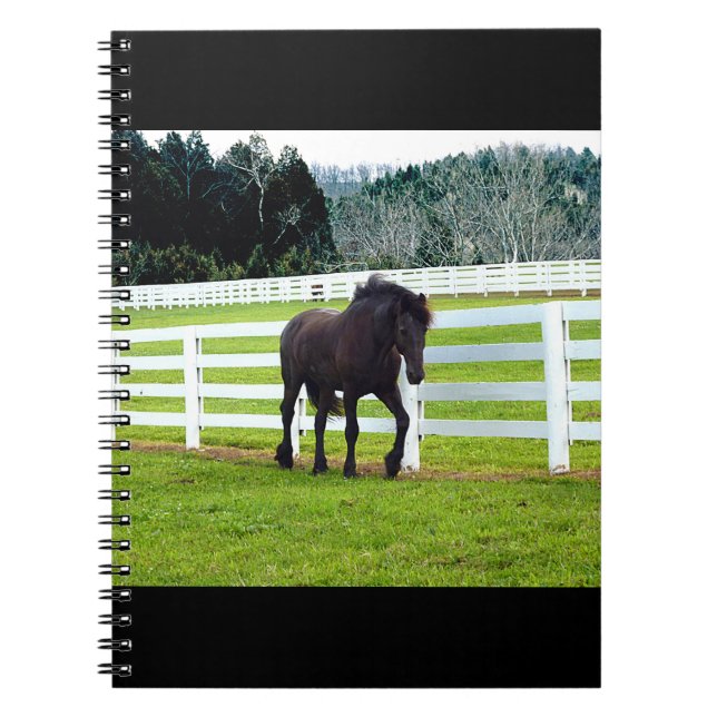 Nonesuch at Cedar Point  Notebook (Front)