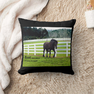 Nonesuch at Cedar Point w Job 39 Cushion