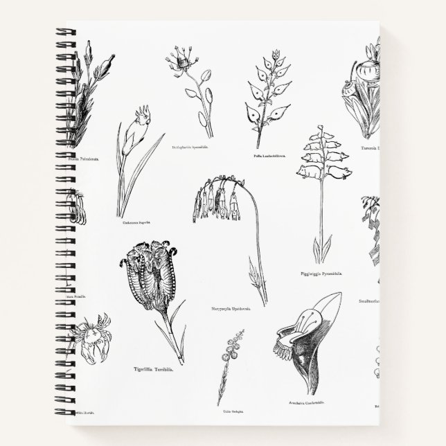 Nonsense Botany Notebook (Front)