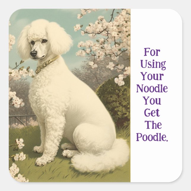 Noodle Poodle Sticker (Front)