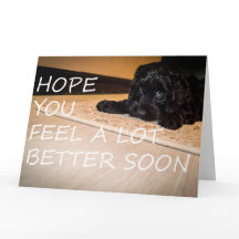 Noodle want's you to be better large