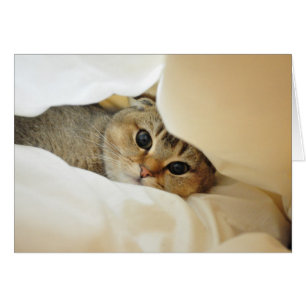 Noodles playing hide and seek