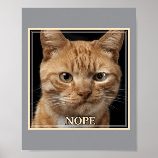 Nope Cat Poster