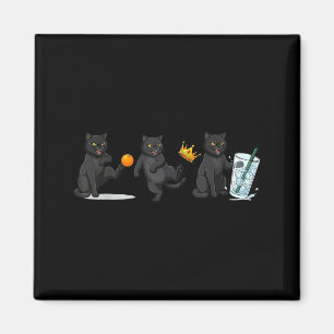 Nope no kings no ice cat funny political meme  magnet