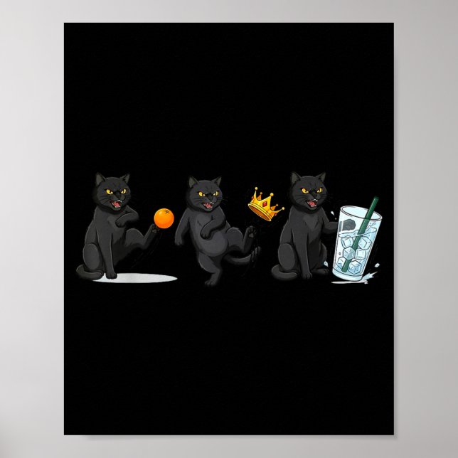 Nope no kings no ice cat funny political meme  poster (Front)