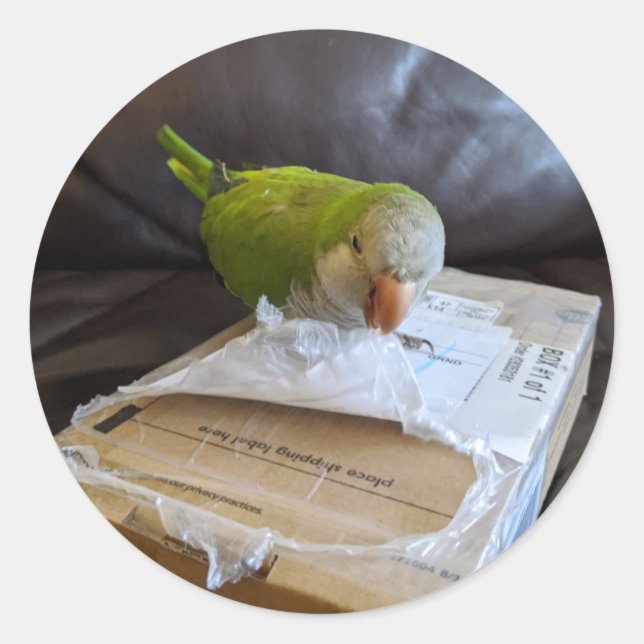 Norbert the Parrot loves to open packages Classic Round Sticker (Front)