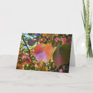 NorCal Nature Greeting Card: Heart Leaves Card