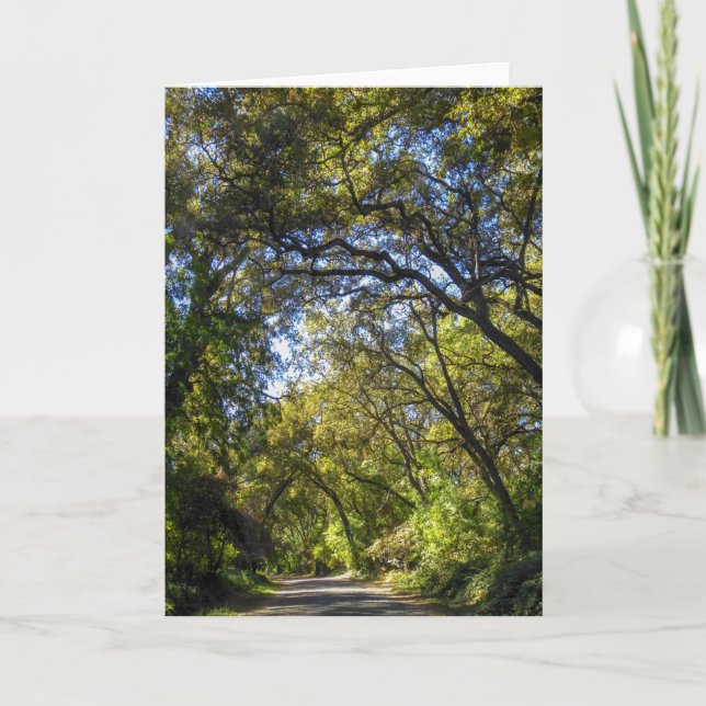 NorCal Nature Greeting Card: Valley Oaks Card (Front)