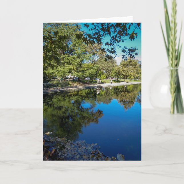 NorCal Nature Greeting Cards: Sycamore Pool Card (Front)