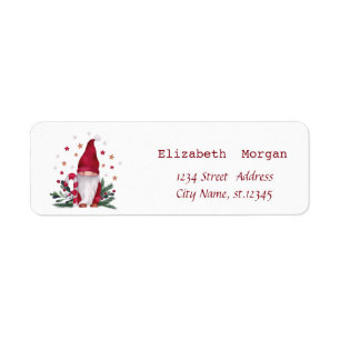Nordic Gnome Pine Tree Branches Merry Christmas
