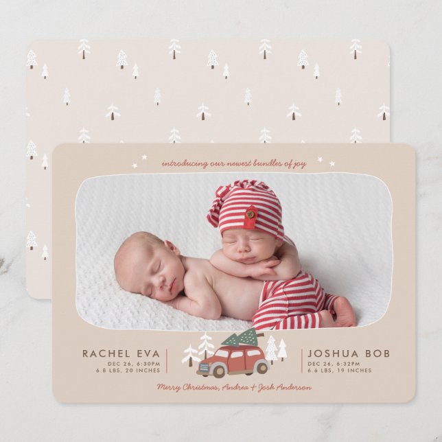 Nordic Winter New Twins First Christmas Holiday Card (Front/Back)